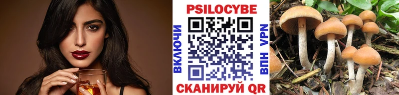 shop какой сайт  Малаховка  Галлюциногенные грибы GOLDEN TEACHER  omg ССЫЛКА 